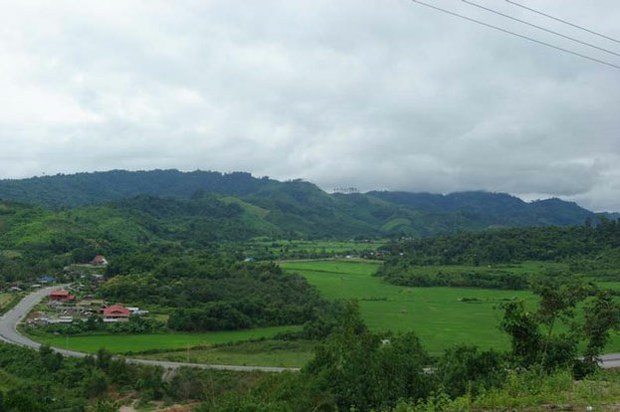 ໃກ້ໆນີ້ ຈະທະລຸເປົ້າໝາຍເນື້ອທີ່ປ່າປົກຫຸ້ມ 70% ແທ້ຫລືບໍ່? - 06f251cb 7998 4c17 b5f1 eb380a80ed47 - ໃກ້ໆນີ້ ຈະທະລຸເປົ້າໝາຍເນື້ອທີ່ປ່າປົກຫຸ້ມ 70% ແທ້ຫລືບໍ່?