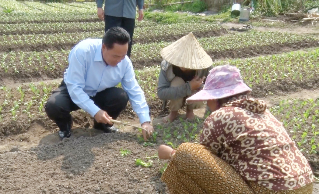 - IMG 2247 - ເຈົ້າແຂວງບໍລິຄຳໄຊ ລົງຊຸກຍູ້ສົ່ງເສີມກຸ່ມປູກຜັກອິນຊີຢູ່ບ້ານນາຫາດ ເພື່ອສ້າງລາຍຮັບໃຫ້ແກ່ປະຊາຊົນ