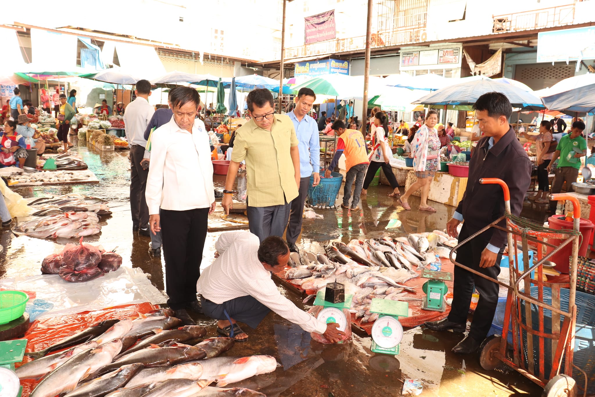 ເຈົ້າໜ້າທີ່ການຄ້າແຂວງຈຳປາສັກ ກັກຢຶດຊິງຊັ່ງ ຊື້-ຂາຍປາທີ່ບໍ່ໄດ້ມາດຕະຖານ ພ້ອມທັງສຶກສາອົບຮົມ ແລະ ປັບໃໝຜູ້ຄ້າຂາຍ - 8757 - ເຈົ້າໜ້າທີ່ການຄ້າແຂວງຈຳປາສັກ ກັກຢຶດຊິງຊັ່ງ ຊື້-ຂາຍປາທີ່ບໍ່ໄດ້ມາດຕະຖານ ພ້ອມທັງສຶກສາອົບຮົມ ແລະ ປັບໃໝຜູ້ຄ້າຂາຍ