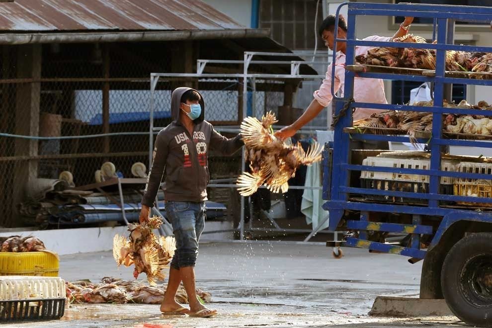 ກໍາປູເຈຍຢືນຢັນຜູ້ຕິດເຊື້ອໄຂ້ຫວັດສັດປີກຄົນທີ 7 ຂອງປີນີ້ ເປັນເດັກນ້ອຍເພດຍິງອາຍຸ 5 ປີ - 1111 3 - ກໍາປູເຈຍຢືນຢັນຜູ້ຕິດເຊື້ອໄຂ້ຫວັດສັດປີກຄົນທີ 7 ຂອງປີນີ້ ເປັນເດັກນ້ອຍເພດຍິງອາຍຸ 5 ປີ